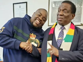 Jonathan Moyo lured with a brand-new car of his choice to return home, as Walter Mzembi languishes in prison