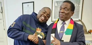 Jonathan Moyo lured with a brand-new car of his choice to return home, as Walter Mzembi languishes in prison