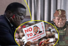 Government Panics and Responds as Cde Bombshell Blessed Geza Calls For a 2-day National Shutdown to Remove President Mnangagwa