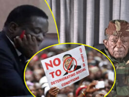 Why They Are Silent Over His Death: The Haunting Letter Blessed Geza Left Behind That Terrifies the Ruling Elite