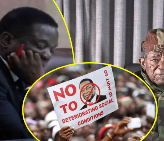 Blessed Geza bounces back, declares another national shutdown as President Mnangagwa responds, says Geza’s days are numbered