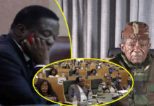 President Mnangagwa’s Dilemma and Why Blessed Geza Had to Die in South Africa