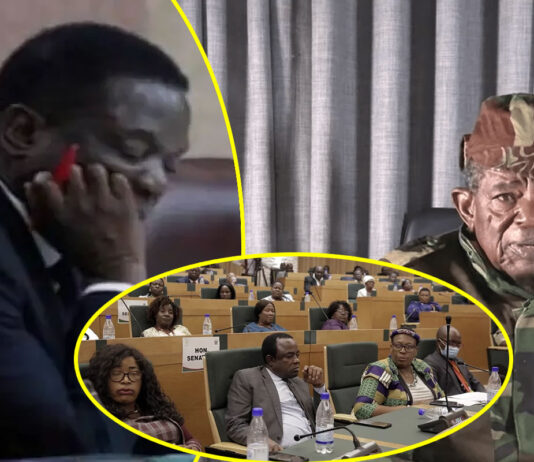 President Mnangagwa’s Dilemma and Why Blessed Geza Had to Die in South Africa