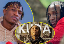 Chillmaster’s punishment for killing a pedestrian: US$200 fine, 420hrs community service, monthly grocery, school fees for life plus cows for ngozi