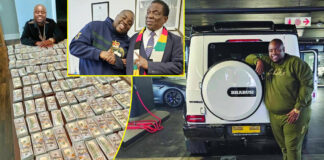 Sir Wicknell’s donated 250 cars: Unpacking Chivayo’s lavish generosity, its opaque origins & what Zimra is saying