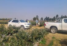 Unlock Zimbabwe: Customized and Reliable Destination Transfers with Hilton Transfers International