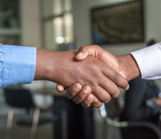 Public Liability and the Rise of Professional Standards