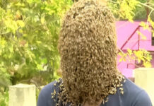 MABHIDIRI EXPOSED: This is the trick fake prophets and sangomas use to ‘send’ bees to thieves and wrongdoers