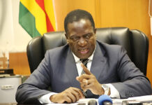 Massive witch hunt at Zesa after messing up with President Mnangagwa… Managing Director suspended