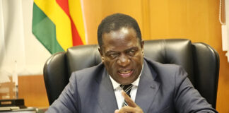 President Mnangagwa’s 2030 secret agenda takes new twist