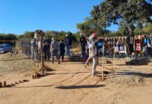 Crafting Your Dream Zimbabwe Adventure: Tailored Tours and Unforgettable Experiences with Hilton Transfers International