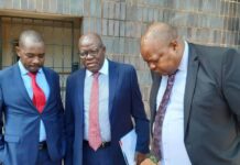 Job Sikhala unites Nelson Chamisa, Tendai Biti, Charlton Hwende and other MDC founding members… We are removing Zanu PF from power!