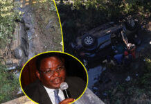 Former Finance Minister David Chapfika Dies in Horror Car Accident (SEE PICS)