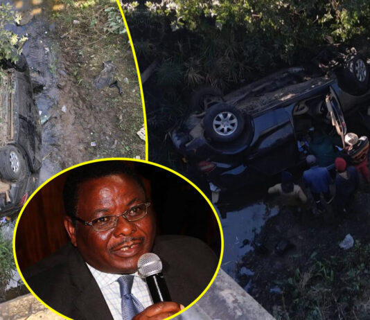 Former Finance Minister David Chapfika Dies in Horror Car Accident (SEE PICS)