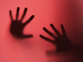 Sex-loving Gokwe teenager slapped with 15 years in jail for having lula lula with his blood sister
