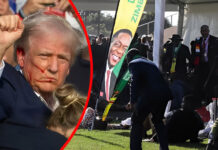 US internal memo says President Trump wants to add Zimbabwe to a list of 36 countries banned from travelling to United States