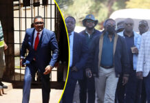 “Go back to prison, you were Kasukuwere’s campaign manager”: Magistrate tells Walter Mzembi after failing to meet Mnangagwa
