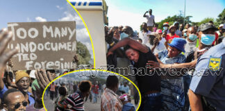 Chased like dogs as Ramaphosa unveils crackdown: Zimbabweans flee to mountains as South African xenophobia gets deadly