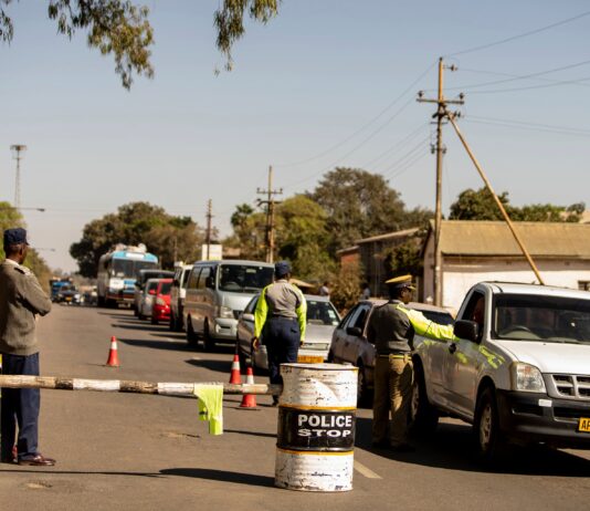 5 O-Level passes including Maths and English for a professional driver’s licence in Zimbabwe: MPs pull a shocker