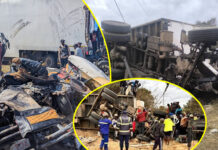 Honda Fit mushikashika causes deadly accident: 17 people killed in Haulage truck and kombi collide head-on (SEE PICS)