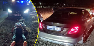 Inside the Multi-Million Dollar Luxury Car Smuggling Ring: Why the ‘Big Fish’ Never Go to Jail