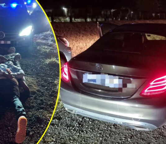 Inside the Multi-Million Dollar Luxury Car Smuggling Ring: Why the ‘Big Fish’ Never Go to Jail