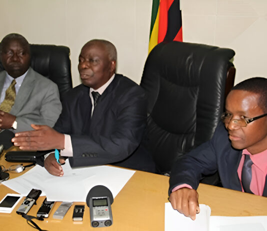 It ended in tears: President Mugabe’s minister loses assets worth US$750,000 (SEE FULL LIST)