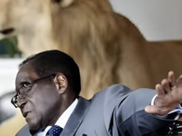 Driving against on-coming traffic while carrying drugs: President Mugabe’s son slapped with warrant of arrest