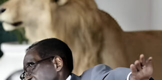 Driving against on-coming traffic while carrying drugs: President Mugabe’s son slapped with warrant of arrest