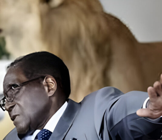 Driving against on-coming traffic while carrying drugs: President Mugabe’s son slapped with warrant of arrest