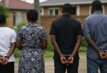 Borrowdale mbinga loses US$120,000 in 2 heists within 2 months: 2 gardeners and 2 maids arrested