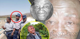 The Mutangadura Files: Unmasking the Truth Behind a Ruwa Businessman’s Murder