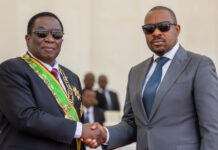 How they tried to kill Nelson Chamisa in Mutare, Nyanga, Chivi, Chiredzi, Zaka, and why President Mnangagwa stopped them