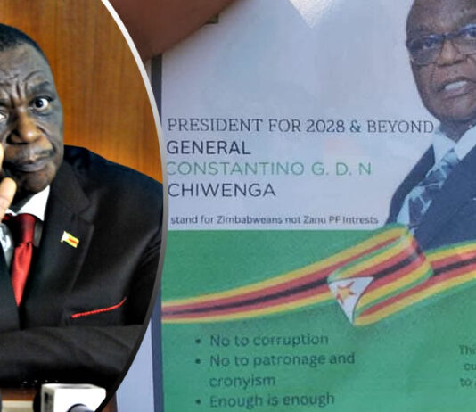 Zanu PF big shots in General Chiwenga’s camp after most of his comrades died during Covid-19 lockdown
