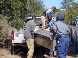 Chiredzi man shot dead as Buhera man axes wife to death for cheating