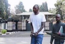 ‘Where is ED? I want to see him’: Ruvheneko arrested for demanding to meet President Mnangagwa and trying to disarm State House presidential guard