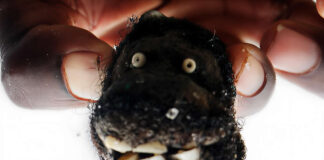 WEALTH AT ANY COST: Vicious goblins take turns to have lula lula with Mazvita for 32 years!