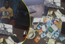 Tau, Rumbi and Bradwell arrested for 29 cases of fraud after stealing US$17,000 and ZiG 30 million from multiple individuals