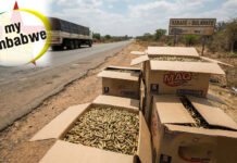 Man flees CID officers after being found with 10,000 rounds of bullets stashed in boxes of washing powder along Bulawayo-Beitbridge highway