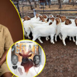 Sorry! Image not available at this time