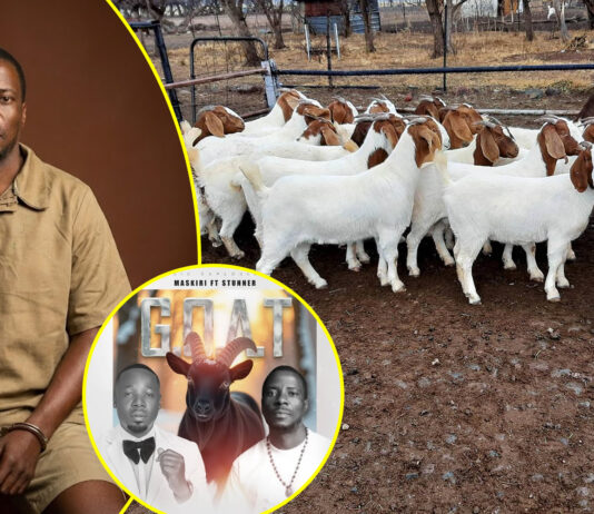 Popular rapper Maskiri arrested over goats fraud…. as Mike Chimombe and Moses Mpofu spend a year in jail