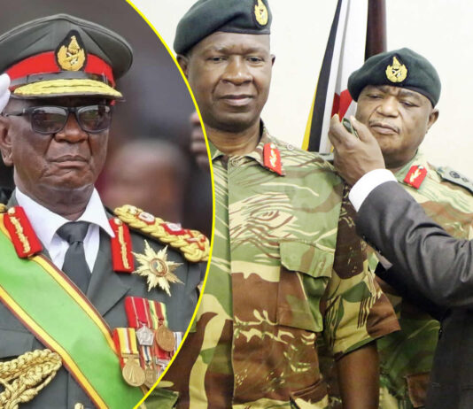 The Secret Referendum: Why Military Generals Are Suddenly Blocking Mnangagwa’s Third-Term Ambitions