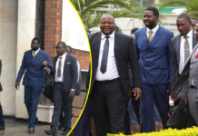 Magaya’s body guard bashes up police officers for arresting his prophet… How Magaya tried selling Gideon Gono’s farm