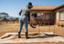 Caught skinning a very big snake: Bulawayo woman arrested for killing a python