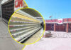 OK Supermarket rises from the dead: Here is OK Zimbabwe’s strategy to bounce back, and this is what went wrong!