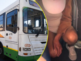 She showed us her stonyie: Shocking video of woman urinating in Golden Arrow bus goes viral (WATCH VIDEO)