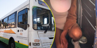 She showed us her stonyie: Shocking video of woman urinating in Golden Arrow bus goes viral (WATCH VIDEO)