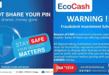 FAKE DEALS, REAL TEARS: EcoCash Thieves Clean Out Victims as Strive Masiyiwa’s Company Fights Back
