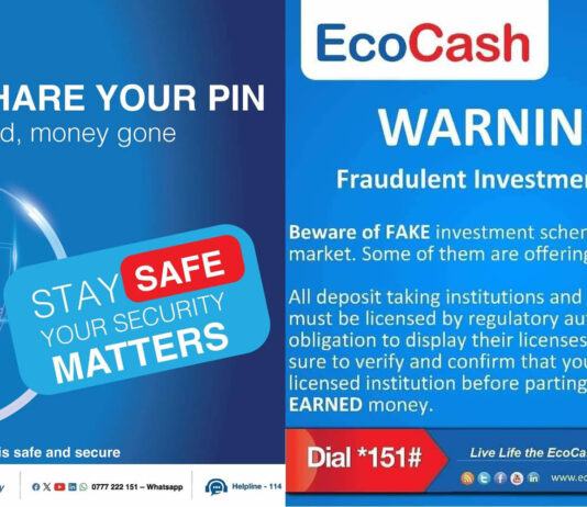 FAKE DEALS, REAL TEARS: EcoCash Thieves Clean Out Victims as Strive Masiyiwa’s Company Fights Back