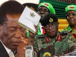 Constitutional Amendment Bill: General Chiwenga breathes fire as President Mnangagwa plays a ‘Joker’
